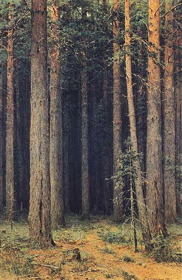 Ivan Shishkin Forest Reserve Germany oil painting art